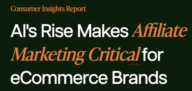 Check out the Affiliate Marketing After AI | Consumer Report